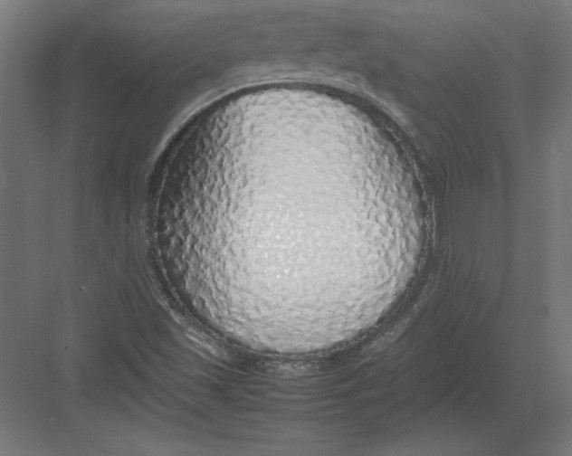 X0000082141501200702092112