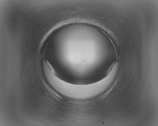 X0000082141502200702092112