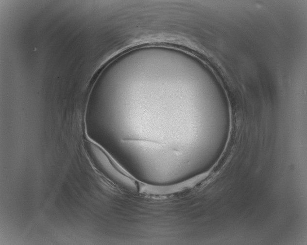 X0000082141505200702092112