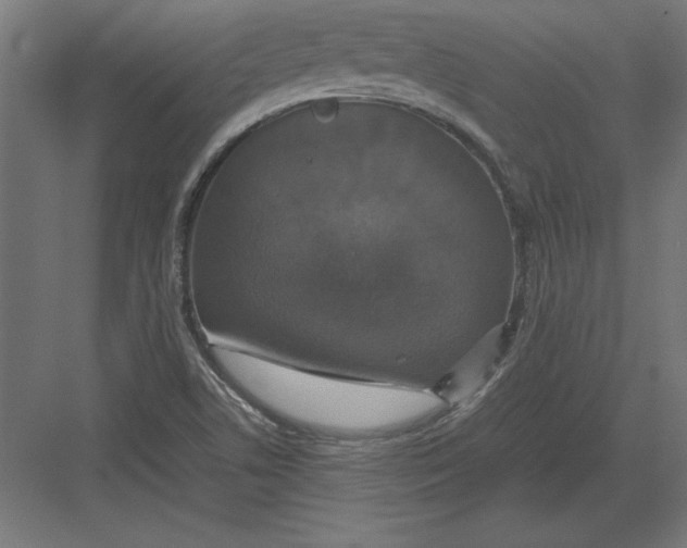 X0000082141506200702092112