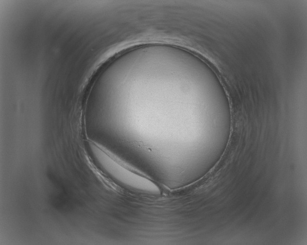 X0000082141507200702092112