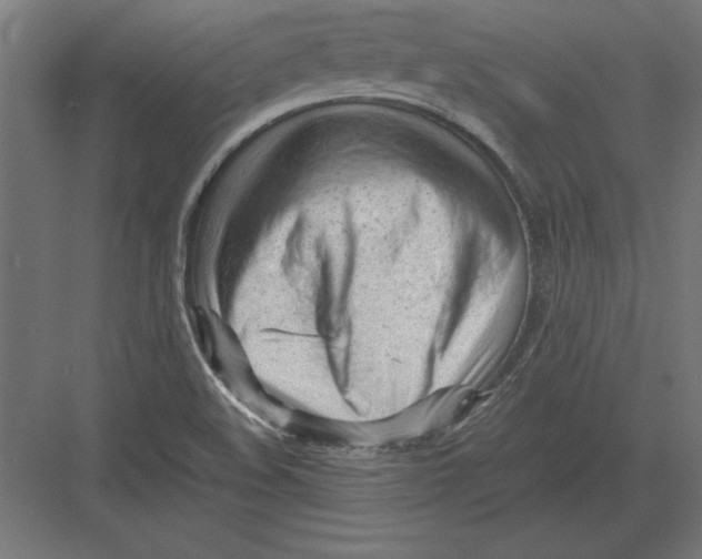 X0000082141508200702092112