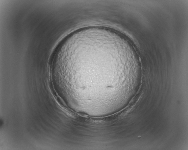 X0000082141509200702092112