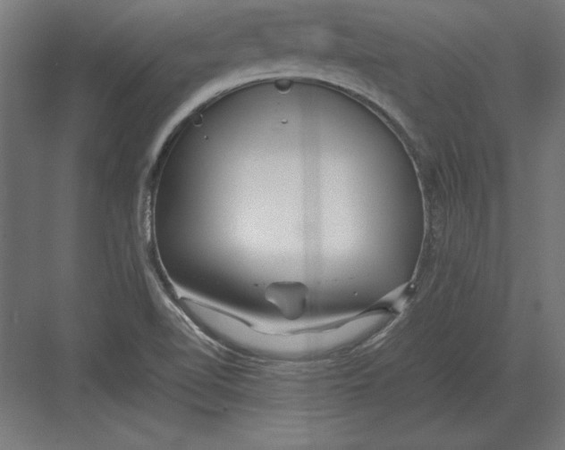 X0000082141510200702092112