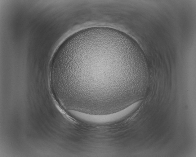 X0000082141511200702092112