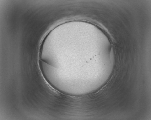 X0000082141512200702092112