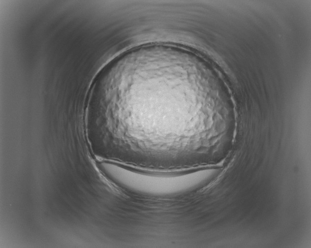 X0000082141513200702092112