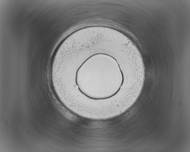 X0000082141514200702092112