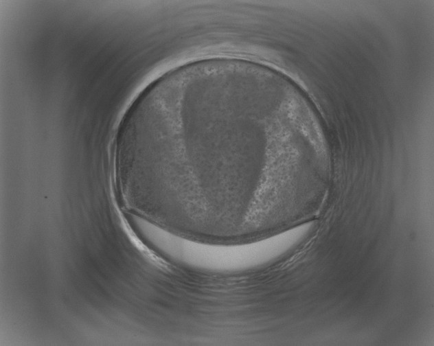 X0000082141515200702092112