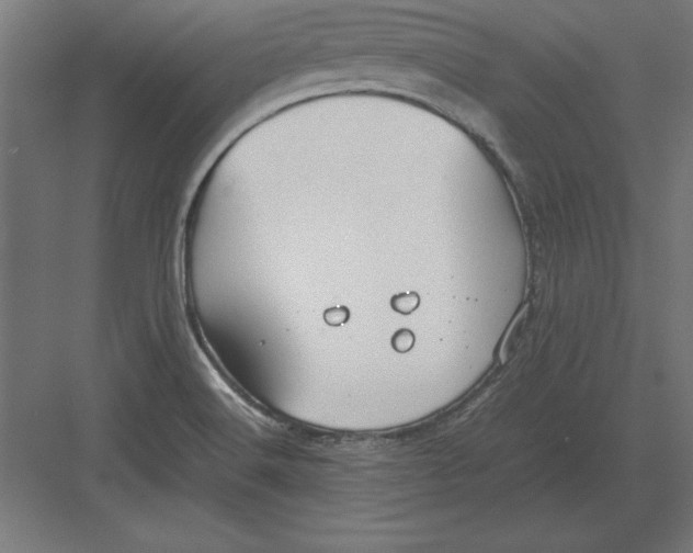 X0000082141516200702092112