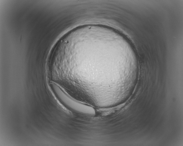 X0000082141517200702092112