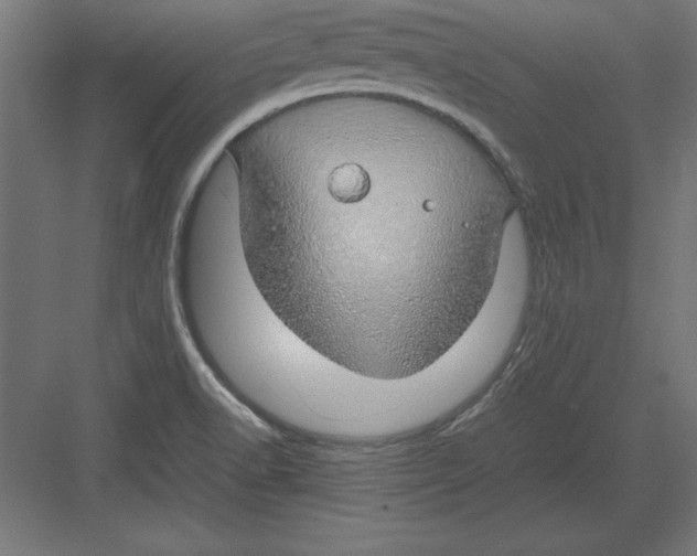 X0000082141518200702092112