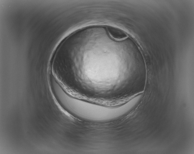 X0000082141519200702092112