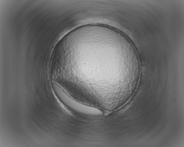 X0000082141521200702092112