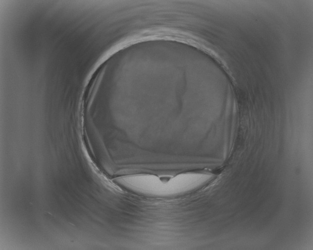 X0000082141522200702092112