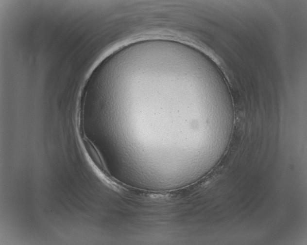 X0000082141523200702092112