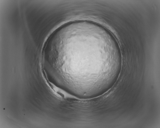 X0000082141525200702092112