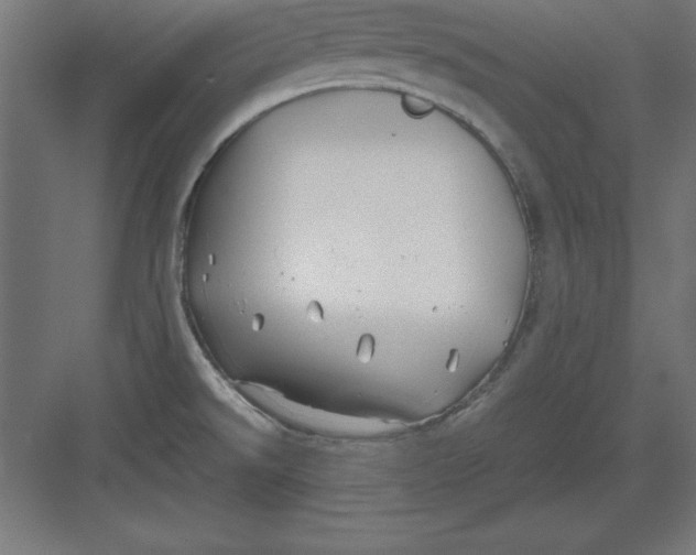 X0000082141526200702092112