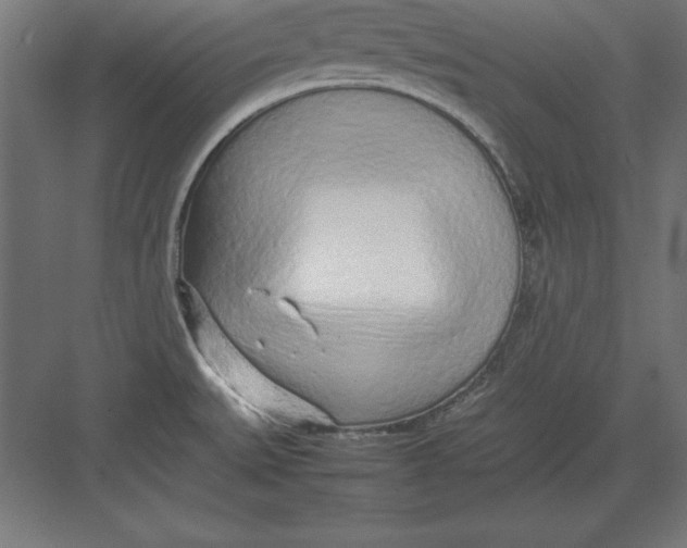 X0000082141527200702092112