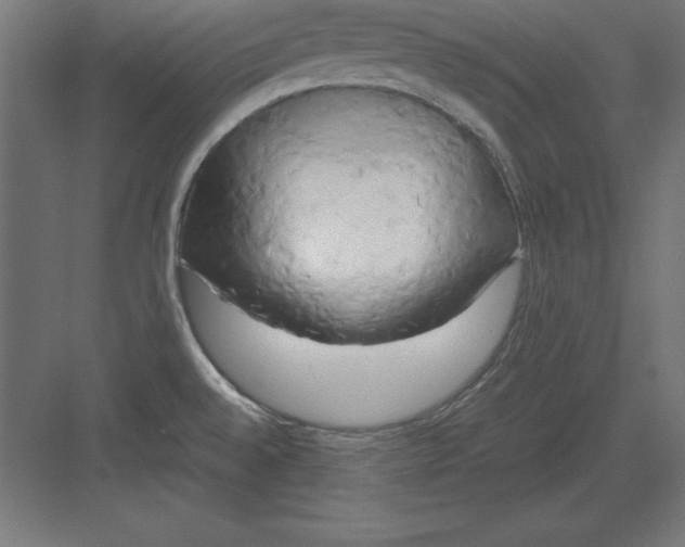 X0000082141528200702092112