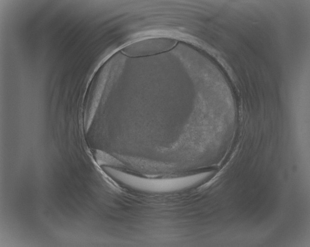 X0000082141529200702092112