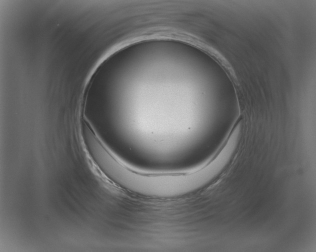 X0000082141530200702092112