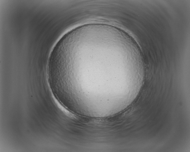 X0000082141531200702092112