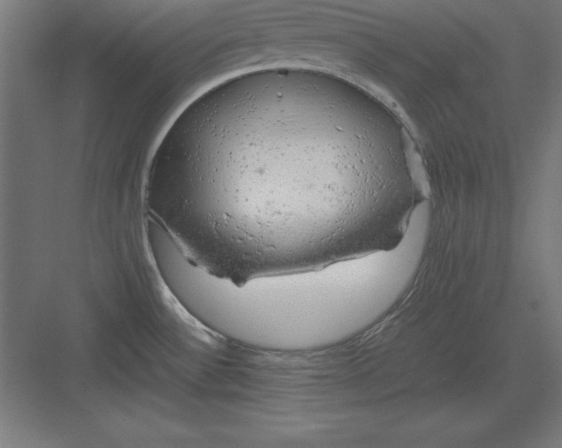 X0000082141532200702092112