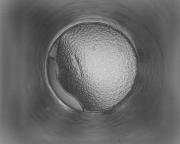 X0000082141533200702092112