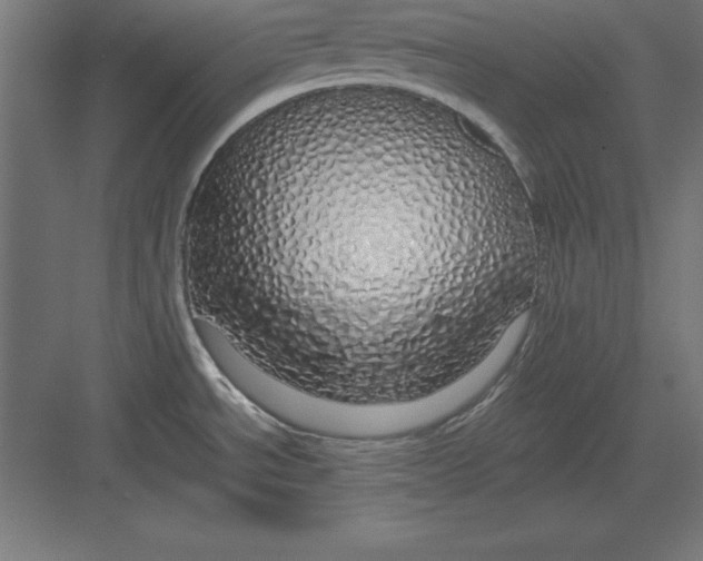 X0000082141534200702092112