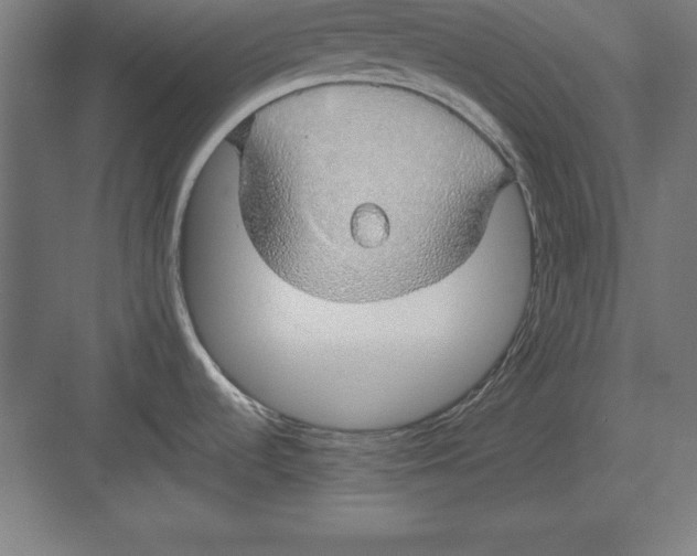 X0000082141536200702092112