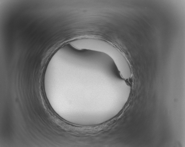 X0000082140001200702162155