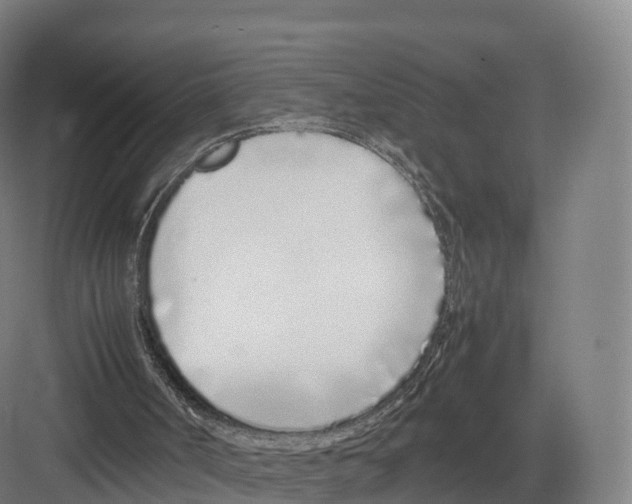 X0000082140002200702162155