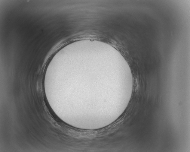 X0000082140004200702162154