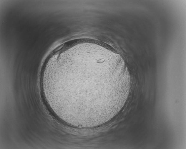 X0000082140006200702162154