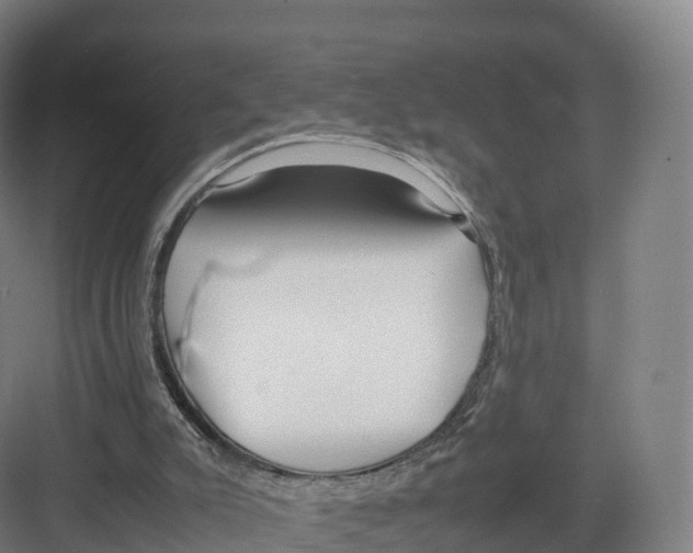 X0000082140007200702162154