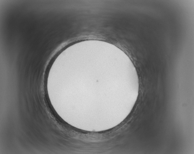 X0000082140008200702162154