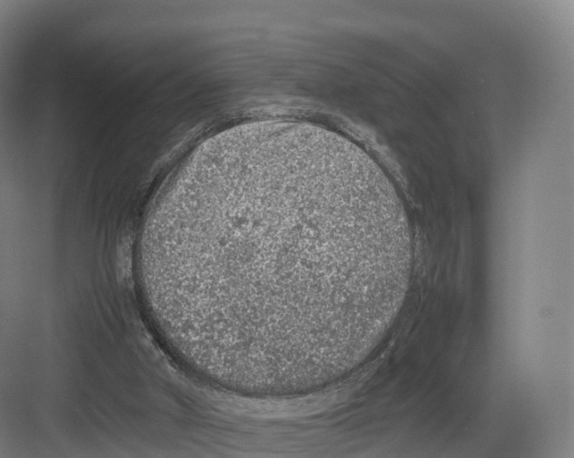 X0000082140010200702162154