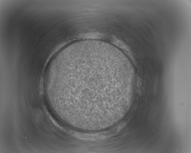 X0000082140012200702162154