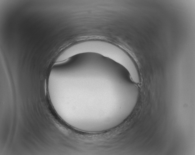 X0000082140013200702162154