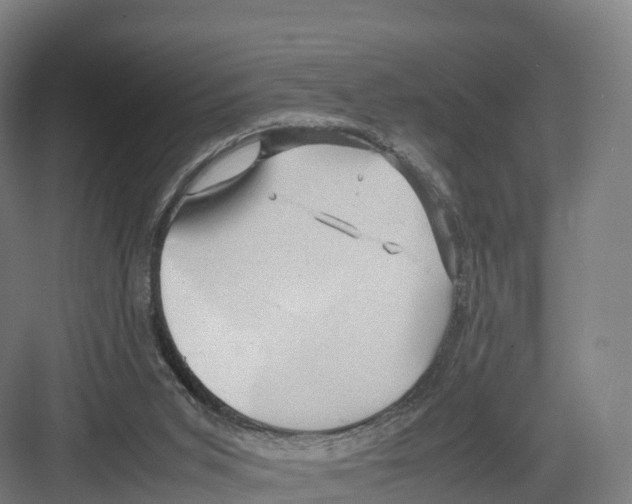 X0000082140015200702162154