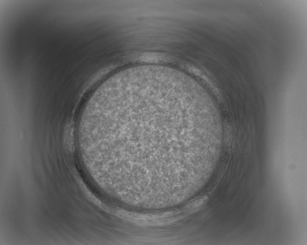 X0000082140016200702162154