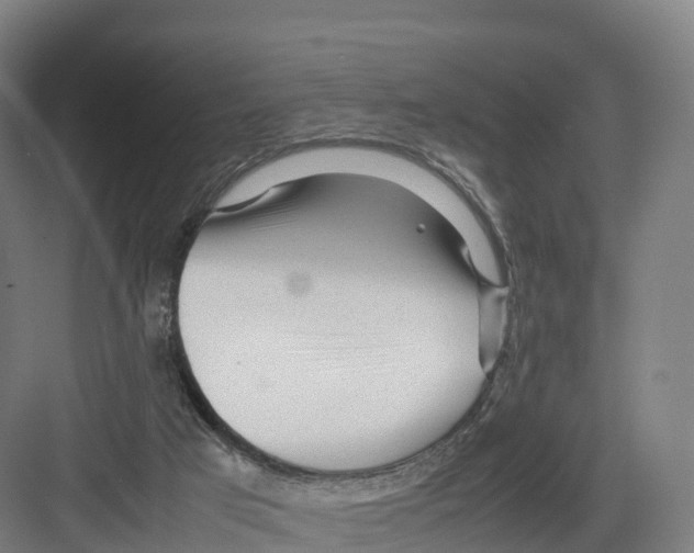 X0000082140017200702162154