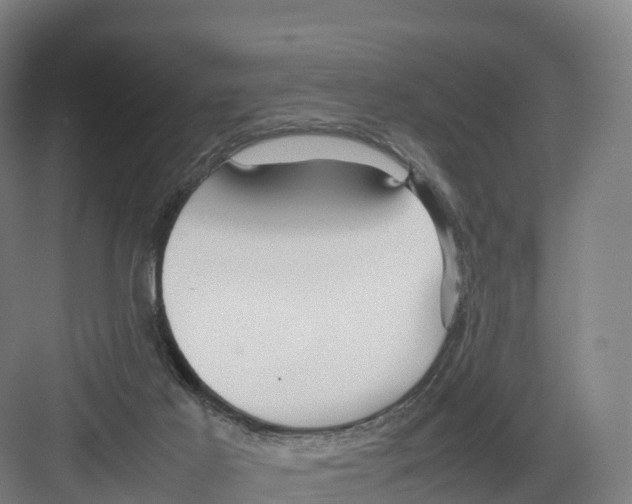 X0000082140021200702162154