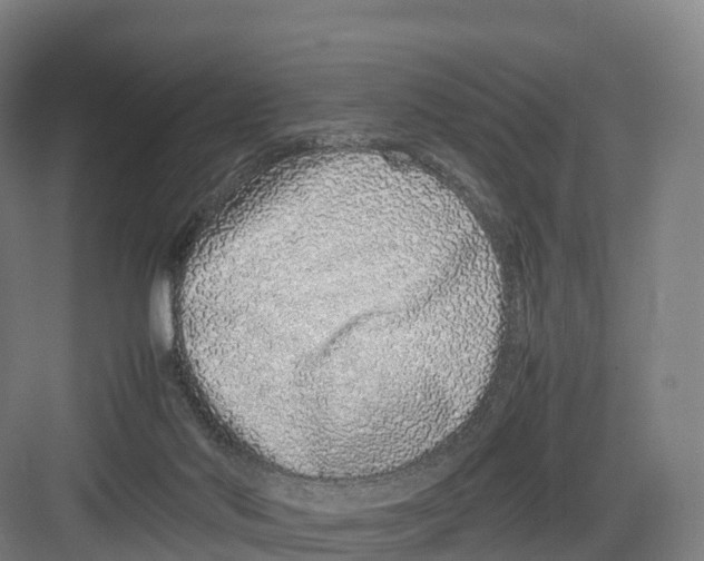 X0000082140022200702162154