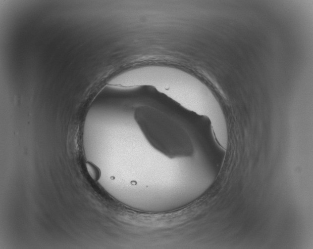 X0000082140023200702162154