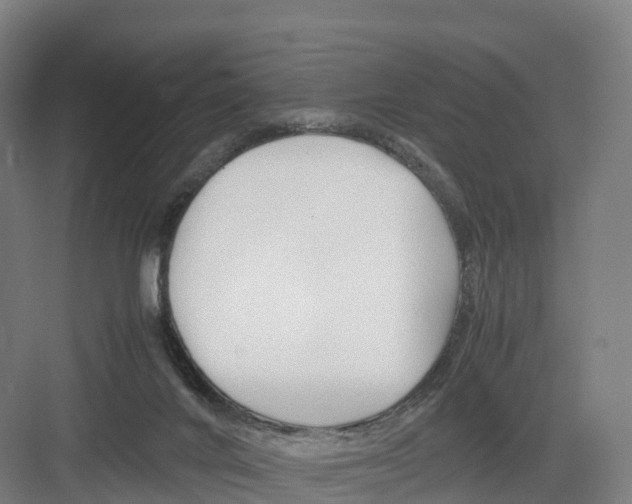 X0000082140024200702162154