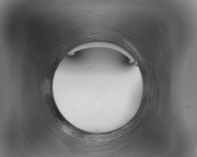 X0000082140025200702162154