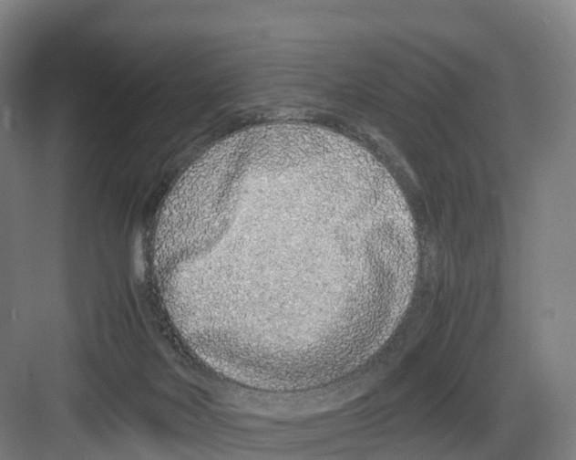 X0000082140026200702162154