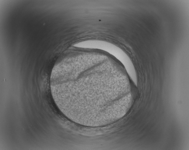 X0000082140029200702162154